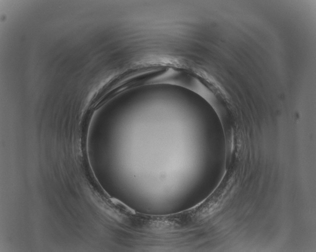 X0000070880399200606231348