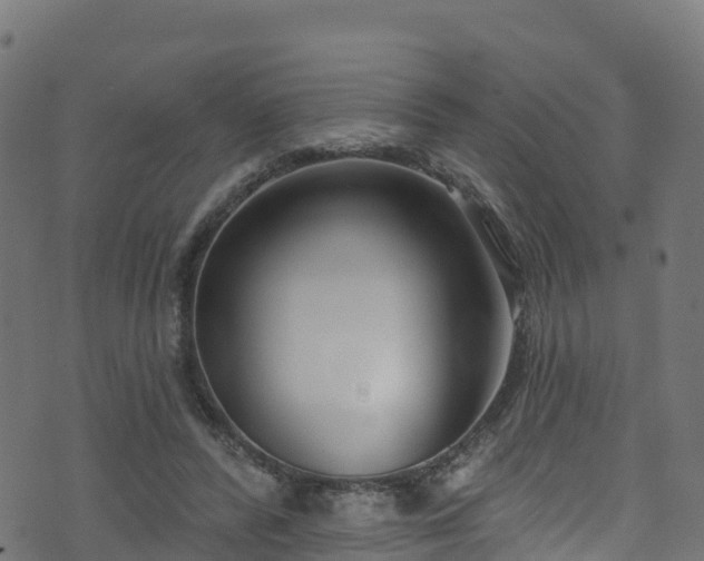 X0000070880400200606231348