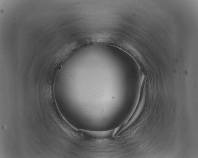 X0000070880401200606231348