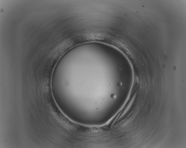 X0000070880402200606231348