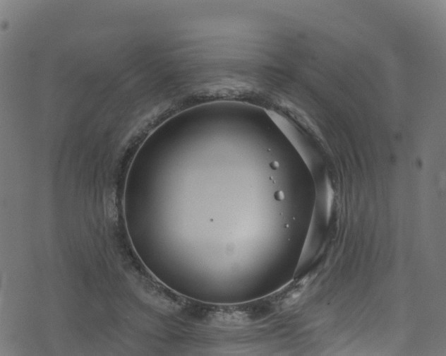 X0000070880403200606231348