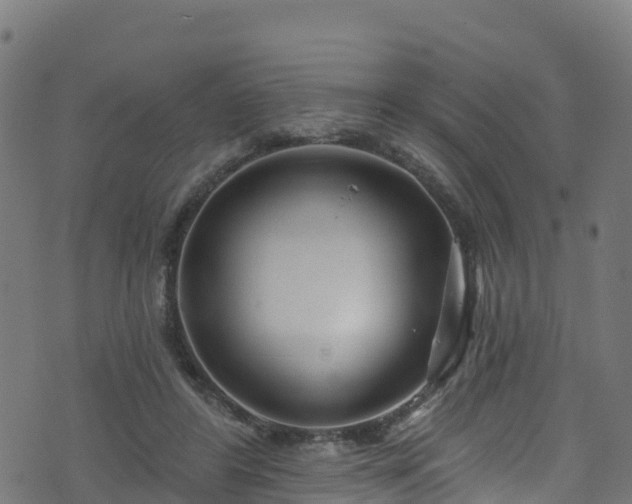 X0000070880404200606231348