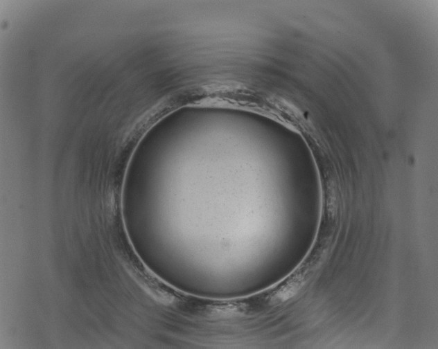 X0000070880405200606231348