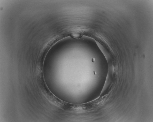 X0000070880407200606231348