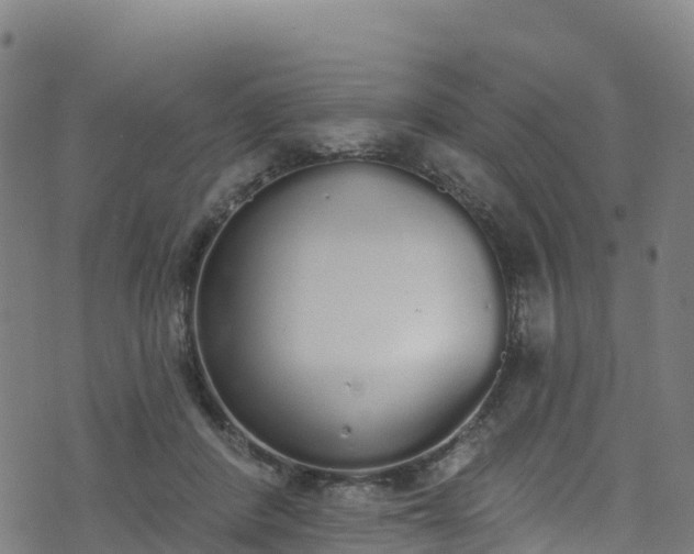 X0000070880408200606231348