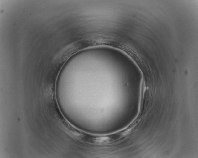 X0000070880410200606231348