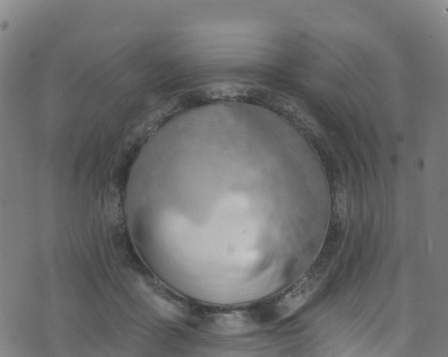 X0000070880411200606231348