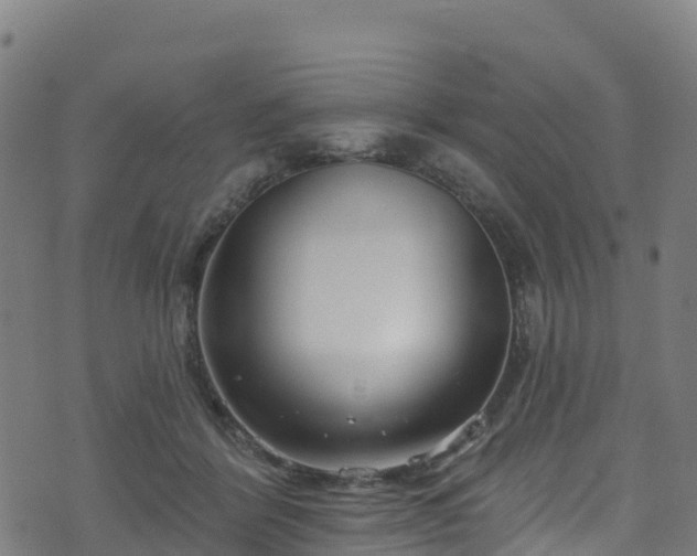 X0000070880412200606231348