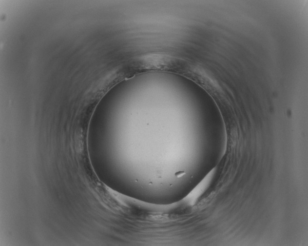 X0000070880413200606231348