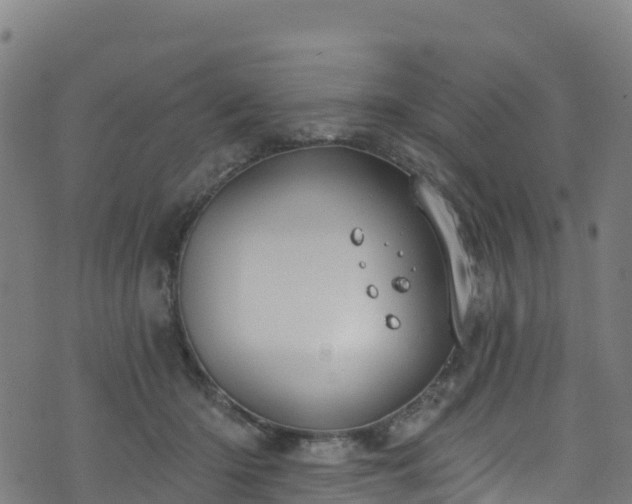 X0000070880414200606231348