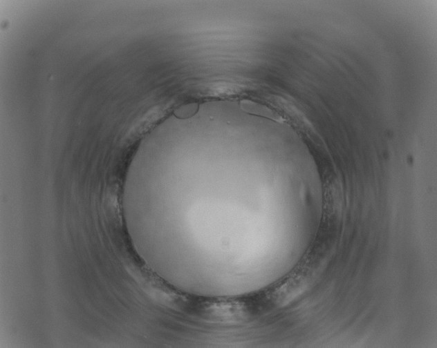 X0000070880415200606231348