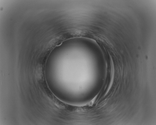 X0000070880416200606231347