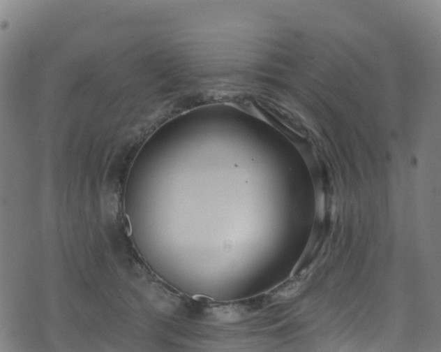 X0000070880417200606231347