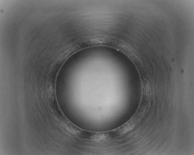 X0000070880418200606231347