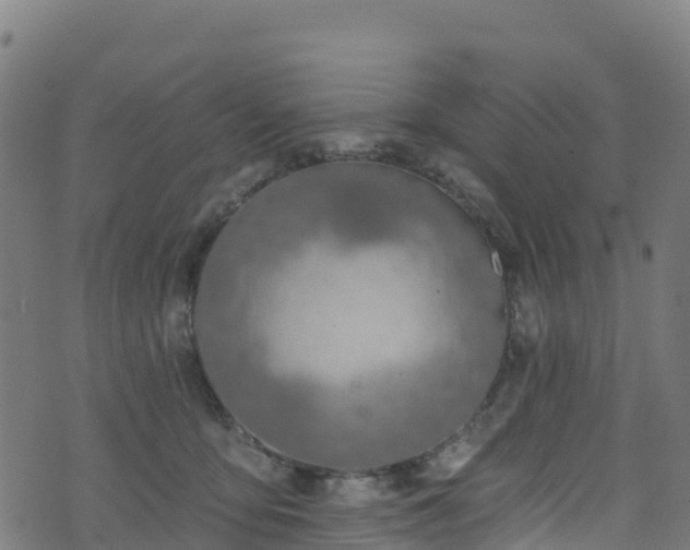 X0000070880419200606231347