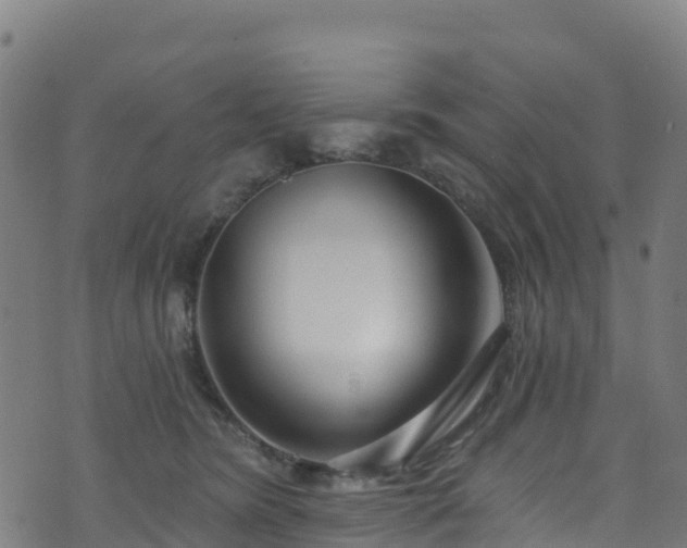 X0000070880420200606231347