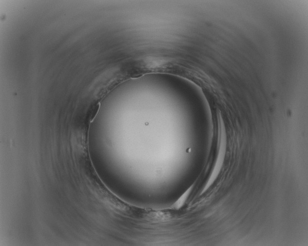 X0000070880421200606231347