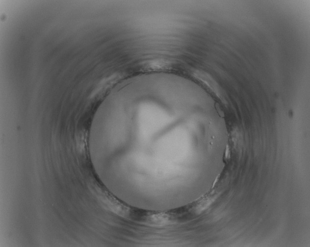 X0000070880423200606231347