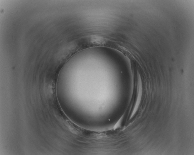 X0000070880424200606231347