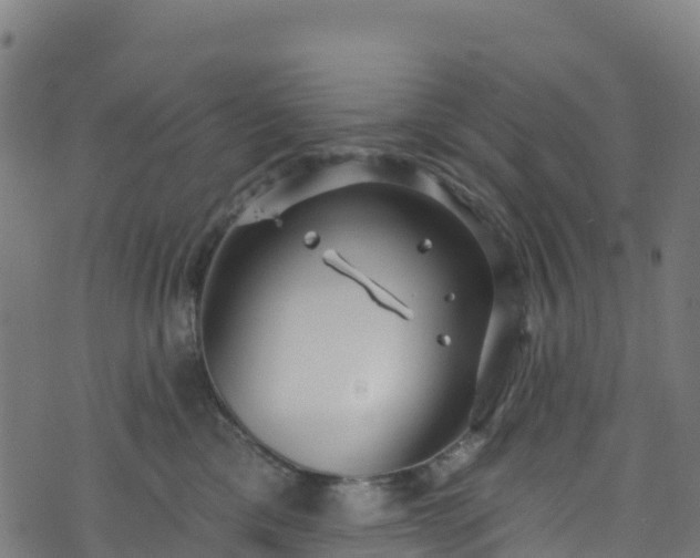 X0000070880425200606231347