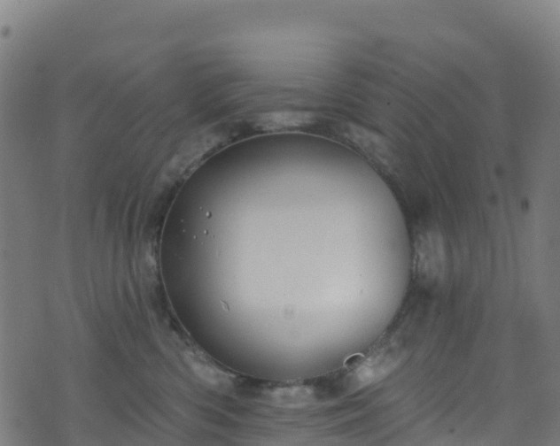 X0000070880426200606231347