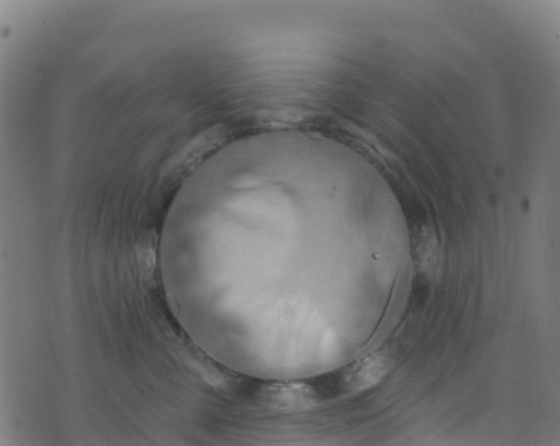 X0000070880427200606231347