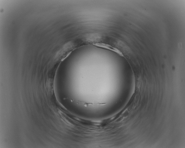 X0000070880428200606231347