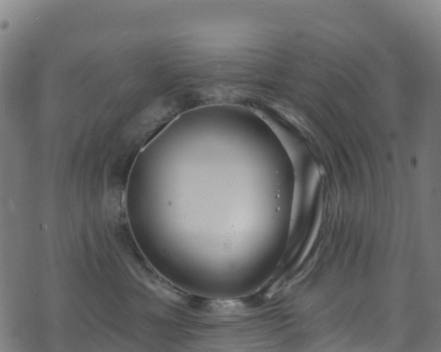 X0000070880429200606231347