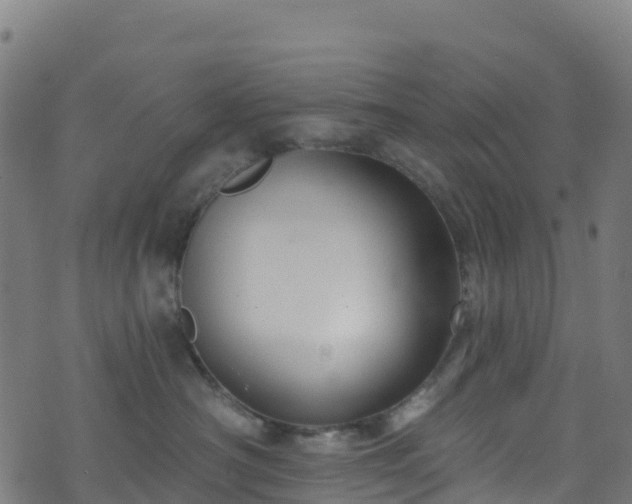 X0000070880430200606231347