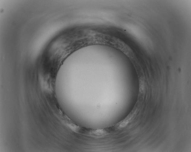 X0000070880431200606231347