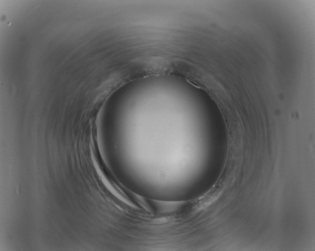 X0000070880432200606231347