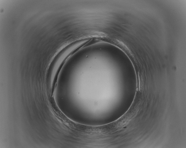 X0000070880435200606231346