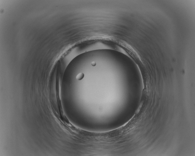 X0000070880436200606231347