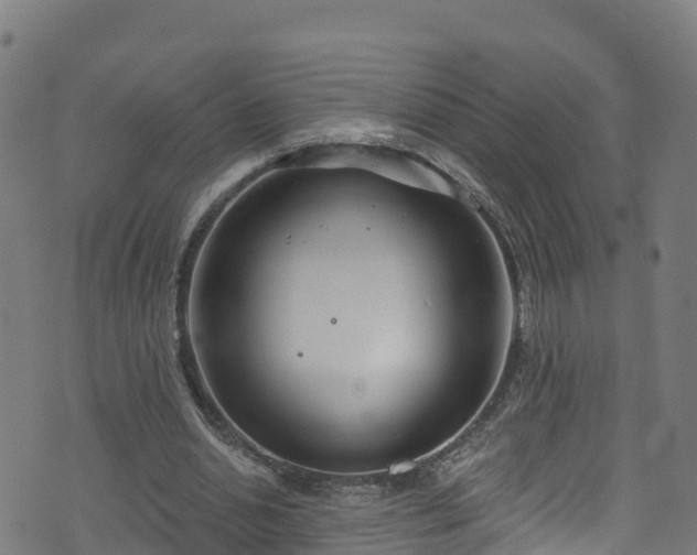 X0000070880438200606231347