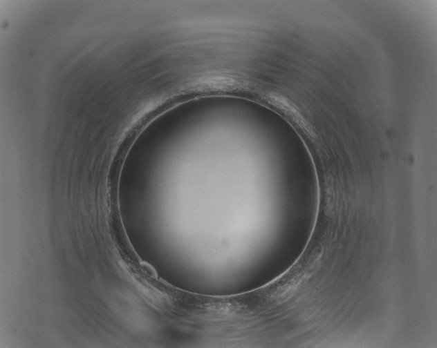 X0000070880439200606231347