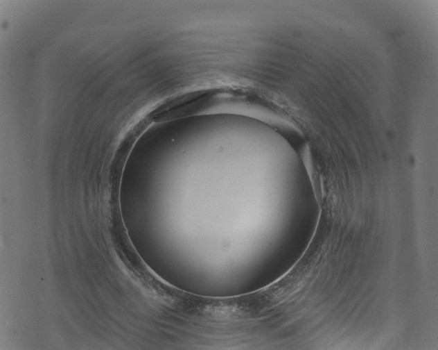 X0000070880440200606231347