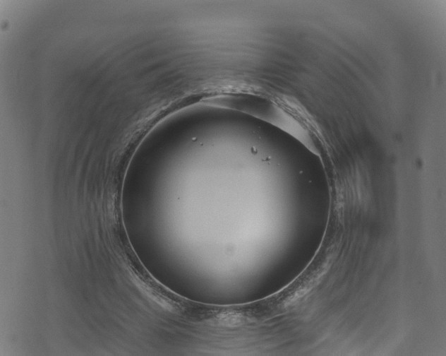 X0000070880441200606231347