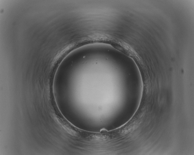 X0000070880442200606231347