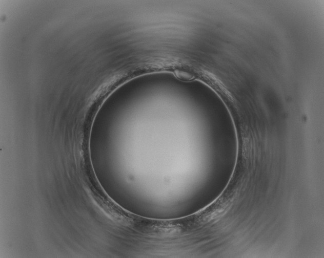 X0000070880443200606231347