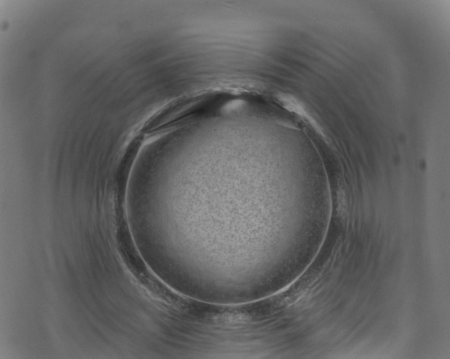 X0000070880444200606231347