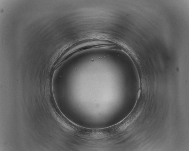 X0000070880445200606231347