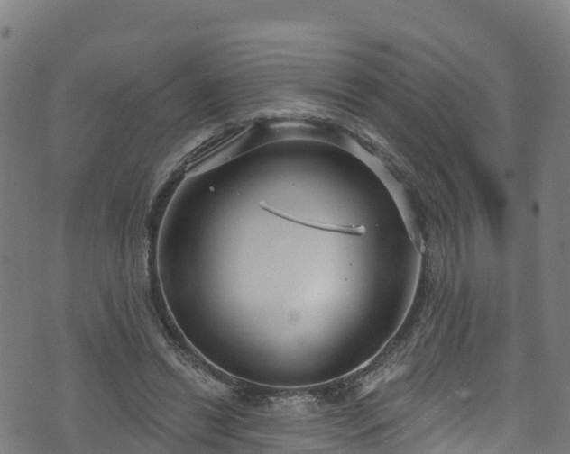 X0000070880446200606231347