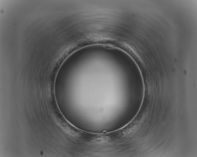 X0000070880447200606231347