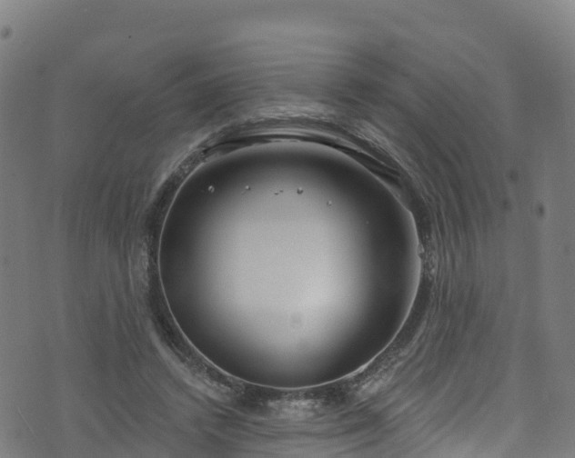 X0000070880448200606231347