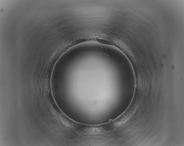 X0000070880449200606231347