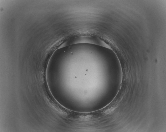 X0000070880450200606231347