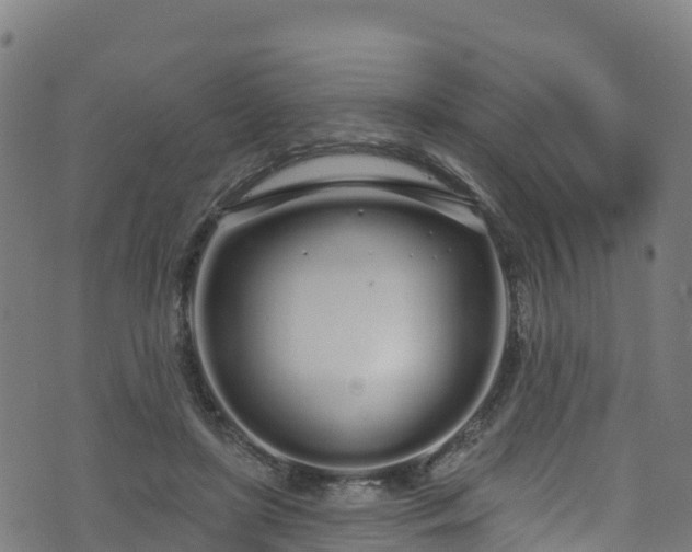 X0000070880451200606231347