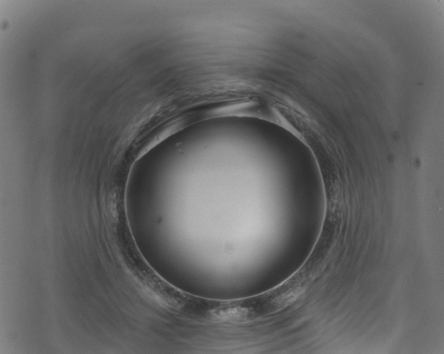 X0000070880452200606231347