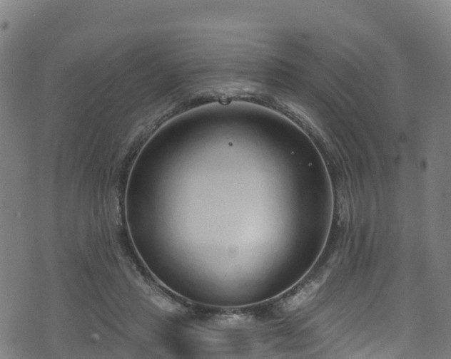 X0000070880453200606231347