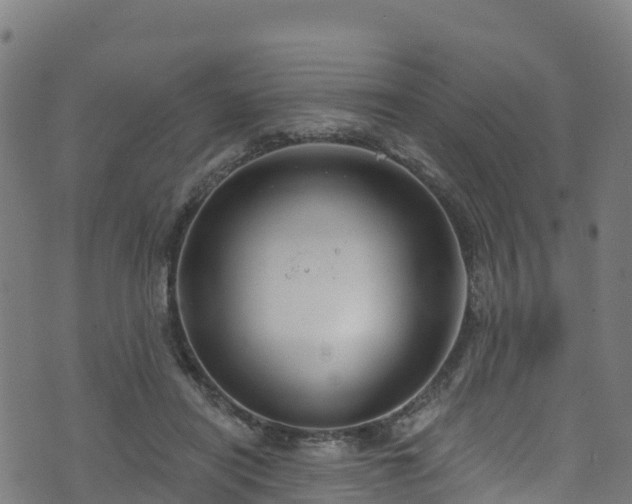 X0000070880454200606231347